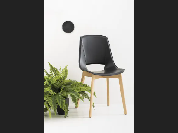 Sedia Eva 5 di Pointhouse