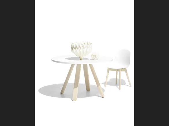 Tavolo rotondo in laminato bianco e base in legno di faggio sbiancato Stecco di Connubia