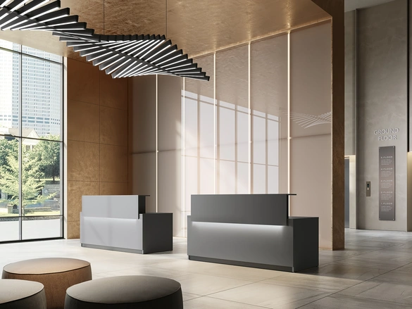 Reception Class 03 di Colombini Office